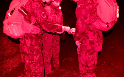 242.jpg
