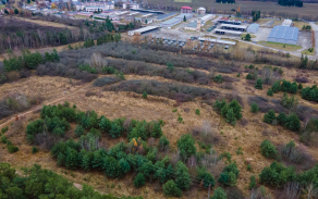 dji_0431.jpg