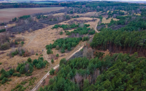 dji_0433.jpg