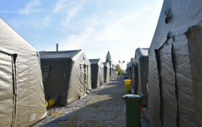 dsc_0919.jpg